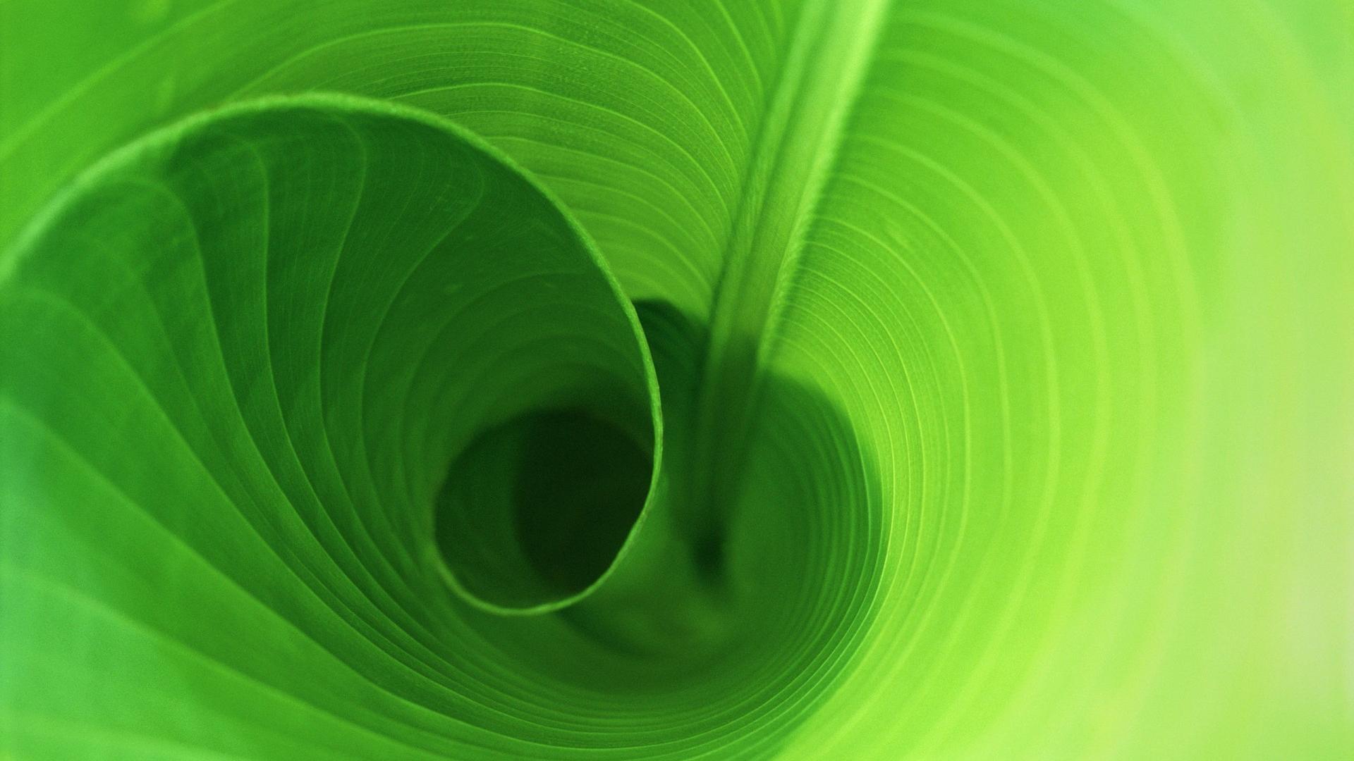 spiritlifestyle healing and well-being spiritlifestyle healing and well-being