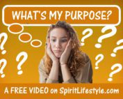 What's my Purpose
